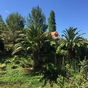 Casa D'olivia Porto Da Cruz